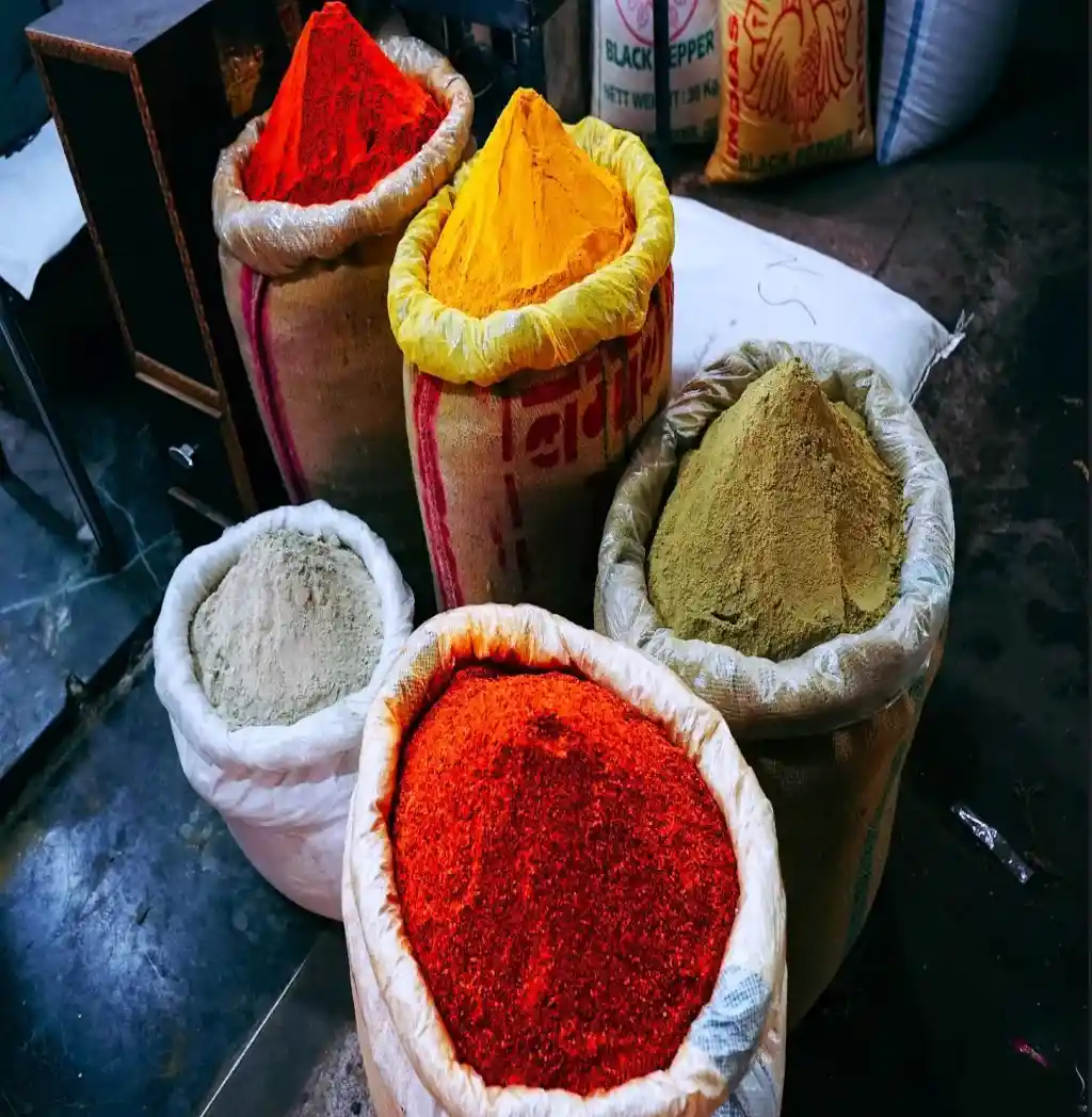 Mercado de Especias Khari Baoli Delhi — La Guía Insider de la Capital de las Especias de Asia