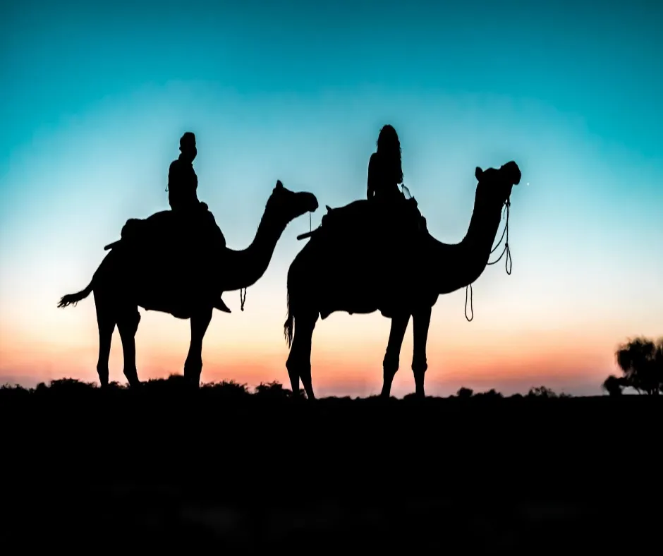 Planning Your First Rajasthan Tour: How Many Days, Which Cities, When to Go